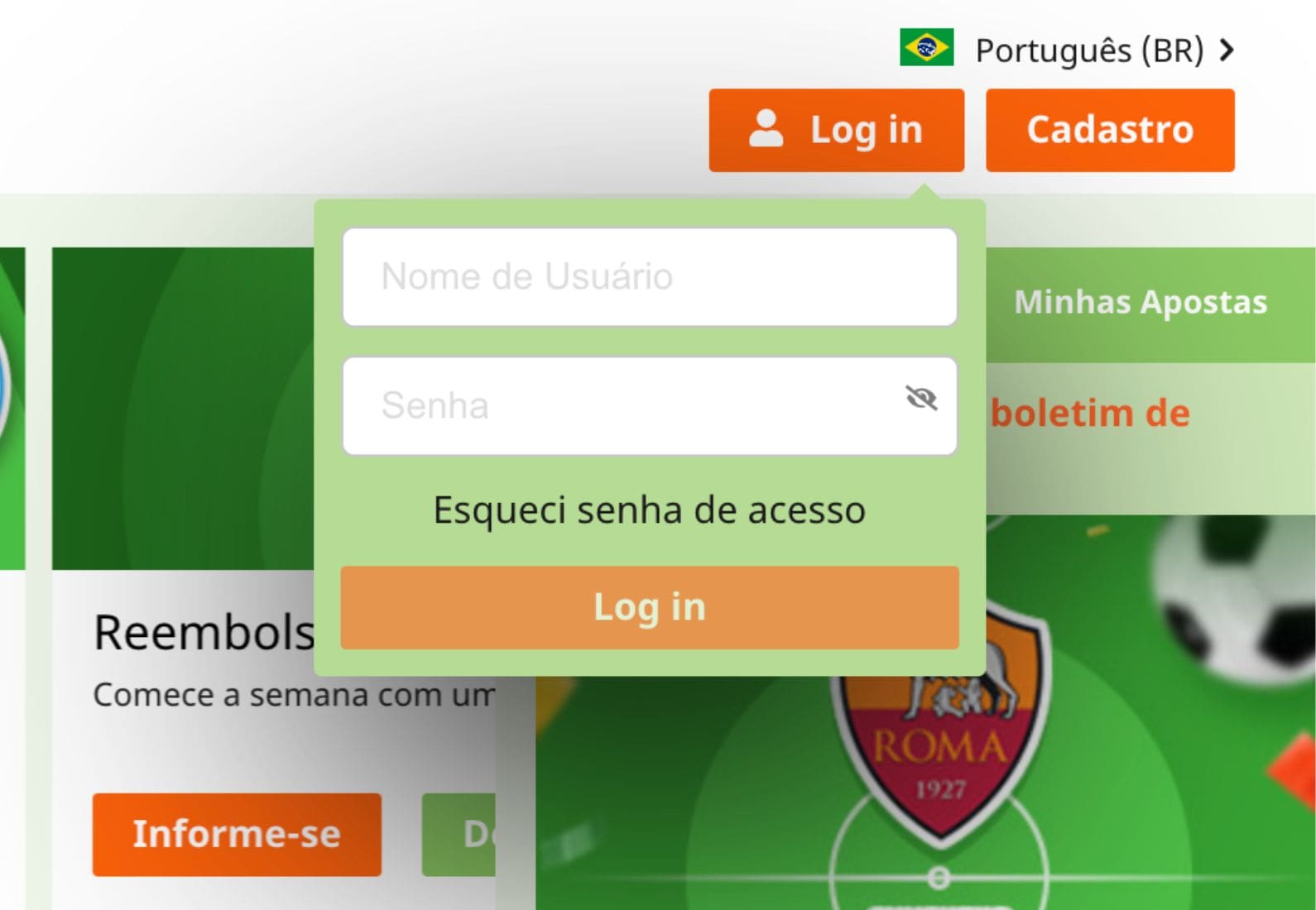 Bet9 Brasil passo como entrar no site